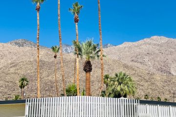 Azure Sky is Palm Springs Newest and Coolest Oasis