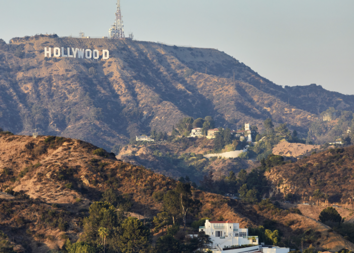 Seeing Stars at Summerfest by Loews Hollywood Hotel