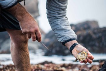 Dive Into World Ocean’s Day with Ellerman House