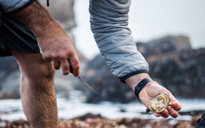 Dive Into World Ocean’s Day with Ellerman House