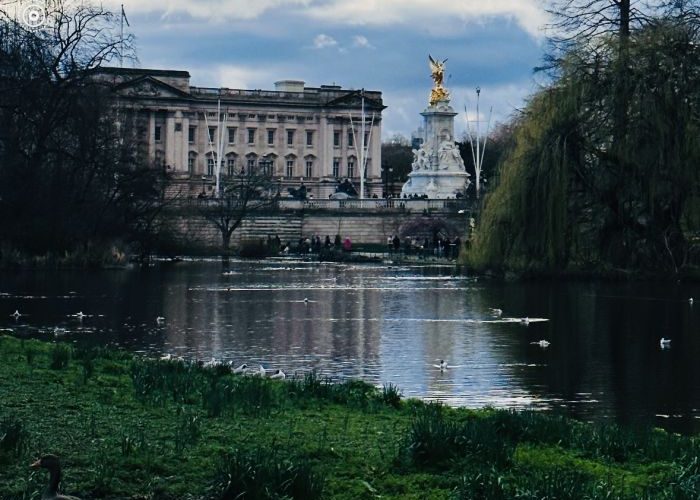 London’s Most Exclusive Eco-Luxury Hotel: The New 1 Hotel Mayfair