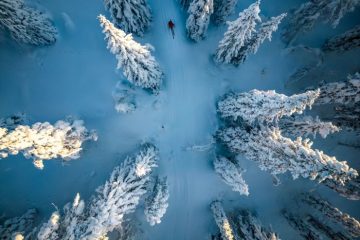 Top Winter Activities at These 5 Properties in the Swedish Lapland
