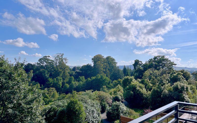 New Zealand Hotel In Cambridge Embraces Lake And Forest