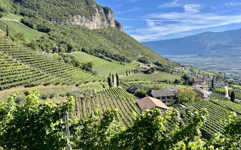 10 Reasons to Visit Italyâs Alto Adige Wine Region