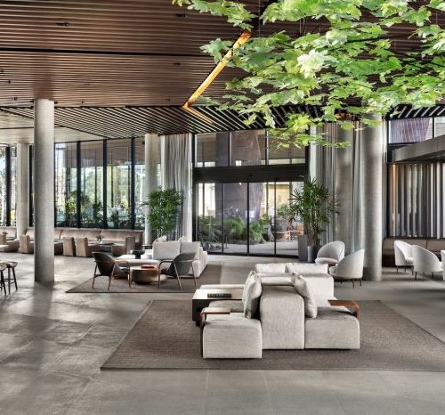 Silicon Valley Unplugged: A Weekend of Calm at Hotels Tetra and Shashi