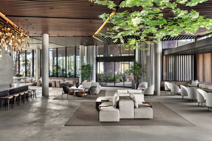 Silicon Valley Unplugged: A Weekend of Calm at Hotels Tetra and Shashi