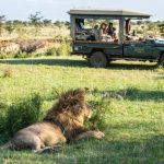 The 28 Most Anticipated Hotels of 2026 in Africa & The Middle East