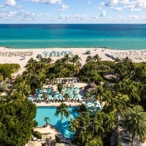 The Palms Hotel & Spa Mastering the Subtle Art of Sustainable Luxury